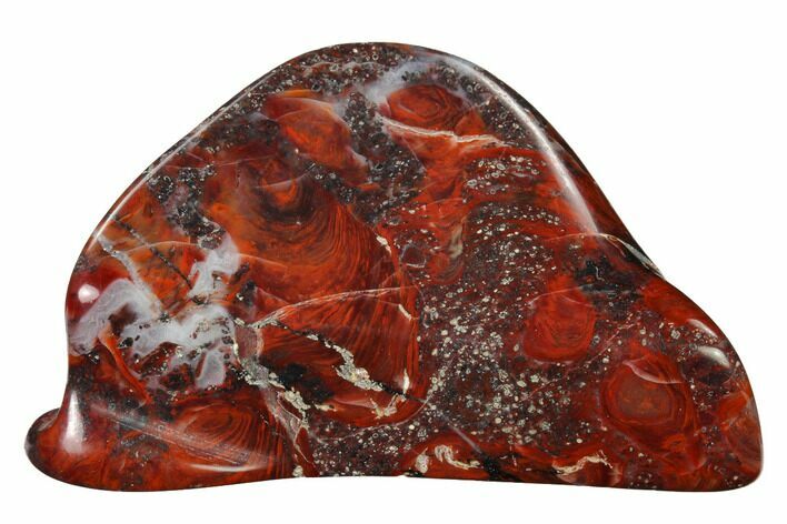 Polished Stromatolite (Collenia) - Minnesota #155593